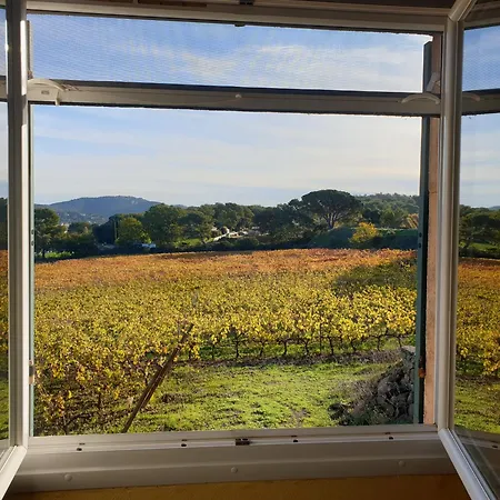 Hébergement de vacances Domaine De La Navicelle - Syrah *