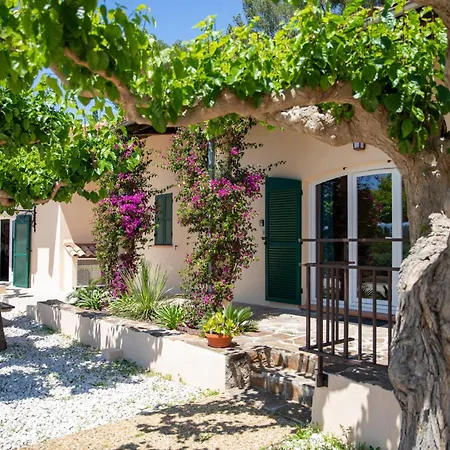 Casa vacanze Domaine De La Navicelle - Syrah Le Pradet