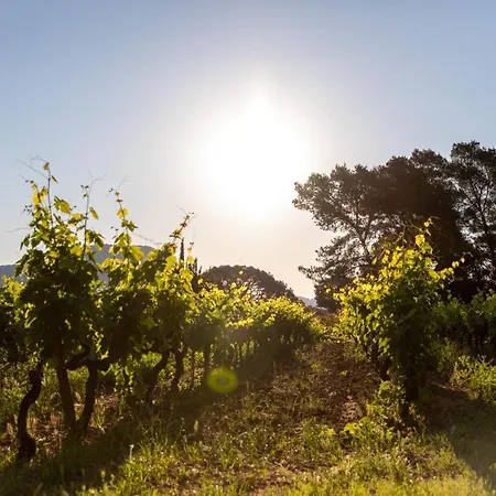 Domaine De La Navicelle Casa de Férias Le Pradet