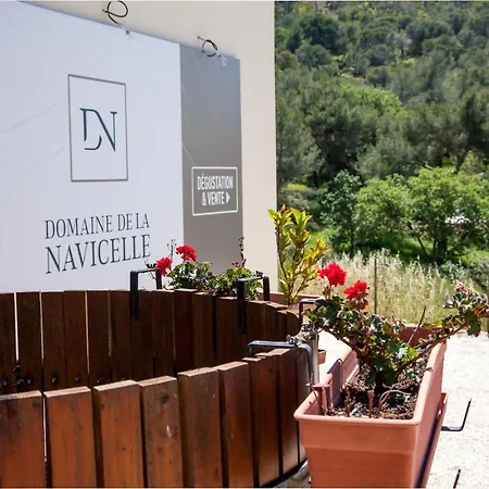 Domaine De La Navicelle - Syrah Le Pradet