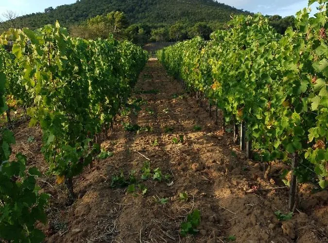 Feriehus Domaine De La Navicelle *