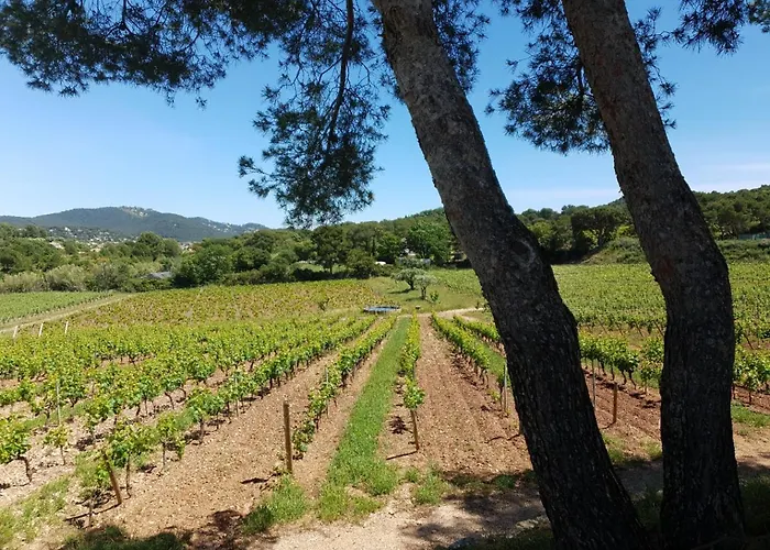 Domaine De La Navicelle Le Pradet